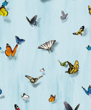 Load image into Gallery viewer, Papilio Wallpaper