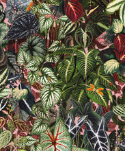 Load image into Gallery viewer, Verde Wallpaper