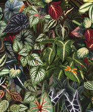 Load image into Gallery viewer, Verde Wallpaper