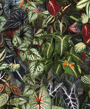 Load image into Gallery viewer, Verde Wallpaper