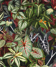 Load image into Gallery viewer, Verde Wallpaper • Green Leaf Wallpaper • Botanical Wallpaper • Ruby • Swatch