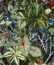 Load image into Gallery viewer, Verde Wallpaper • Green Leaf Wallpaper • Botanical Wallpaper • Sky • Swatch