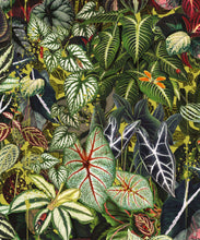 Load image into Gallery viewer, Verde Wallpaper