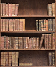 Load image into Gallery viewer, Bookshelf Wallpaper