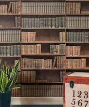 Load image into Gallery viewer, Kemra - Bookshelf
