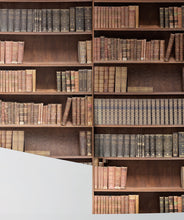 Load image into Gallery viewer, Bookshelf Wallpaper