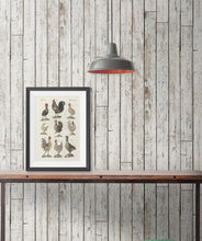 Load image into Gallery viewer, Pally PO is a Wood effect Wallpaper