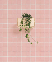 Load image into Gallery viewer, Pink Tiles wallpaper