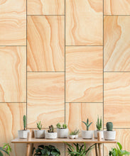 Load image into Gallery viewer, Ply Wood Wallpaper • Light Brown Wallpaper • Wood Grain Wallpaper insitu with a table and on top of the table is a row of small succulents