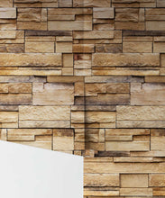 Load image into Gallery viewer, Sandstone Shale