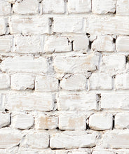 Load image into Gallery viewer, Whitewashed Bricks