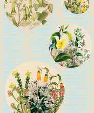 Load image into Gallery viewer, Euphemia 5