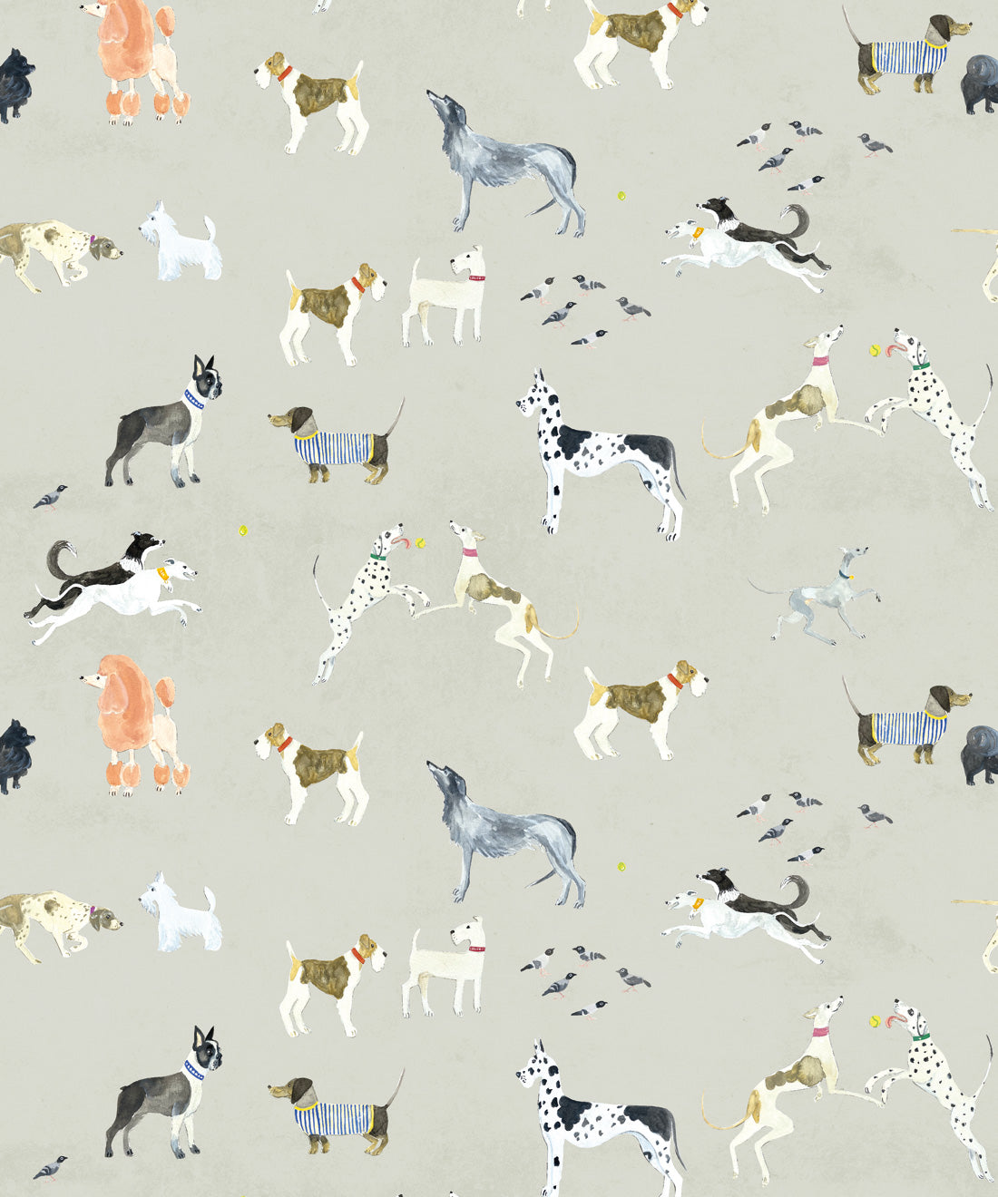Doggies Wallpaper
