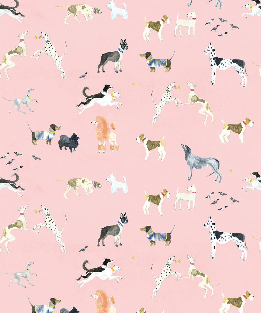 Doggies Wallpaper