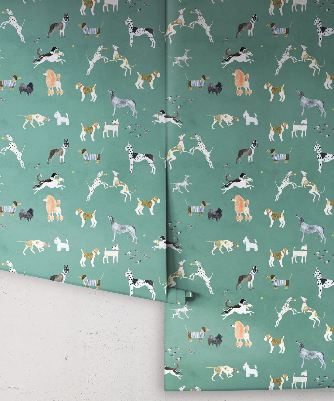 Doggies Wallpaper • Dog Wallpaper • Turquoise • Rolls