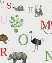Load image into Gallery viewer, Noah's ABC Cream