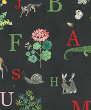 Load image into Gallery viewer, Noah's ABC Ebony