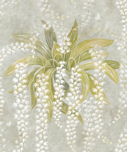Load image into Gallery viewer, Orchid Beige