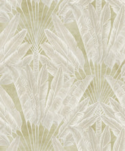 Load image into Gallery viewer, Travelers Palm Chartreuse