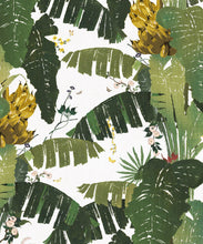 Load image into Gallery viewer, Yashinoki