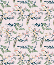 Load image into Gallery viewer, Birds Of Paradise Pink Lady