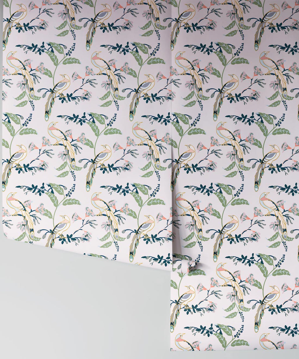 Birds of Paradise Wallpaper