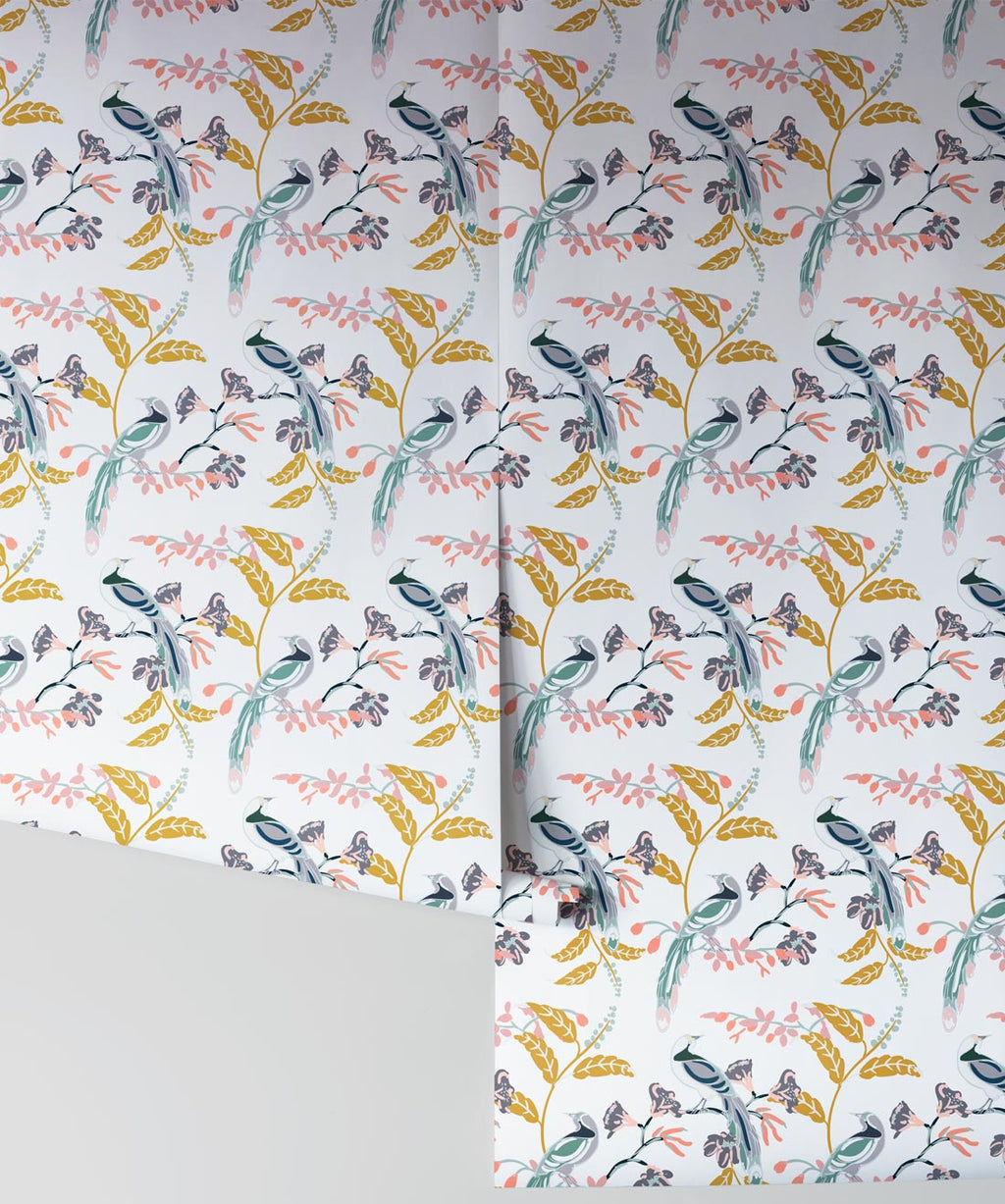 Birds of Paradise Wallpaper