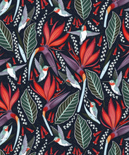 Load image into Gallery viewer, Hummingbird Wallpaper • Birds Of Paradise Flower • Bird Wallpaper • Red Flowers • Black Cherry
