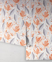 Load image into Gallery viewer, Hummingbird Wallpaper • Birds Of Paradise Flower • Bird Wallpaper Drops