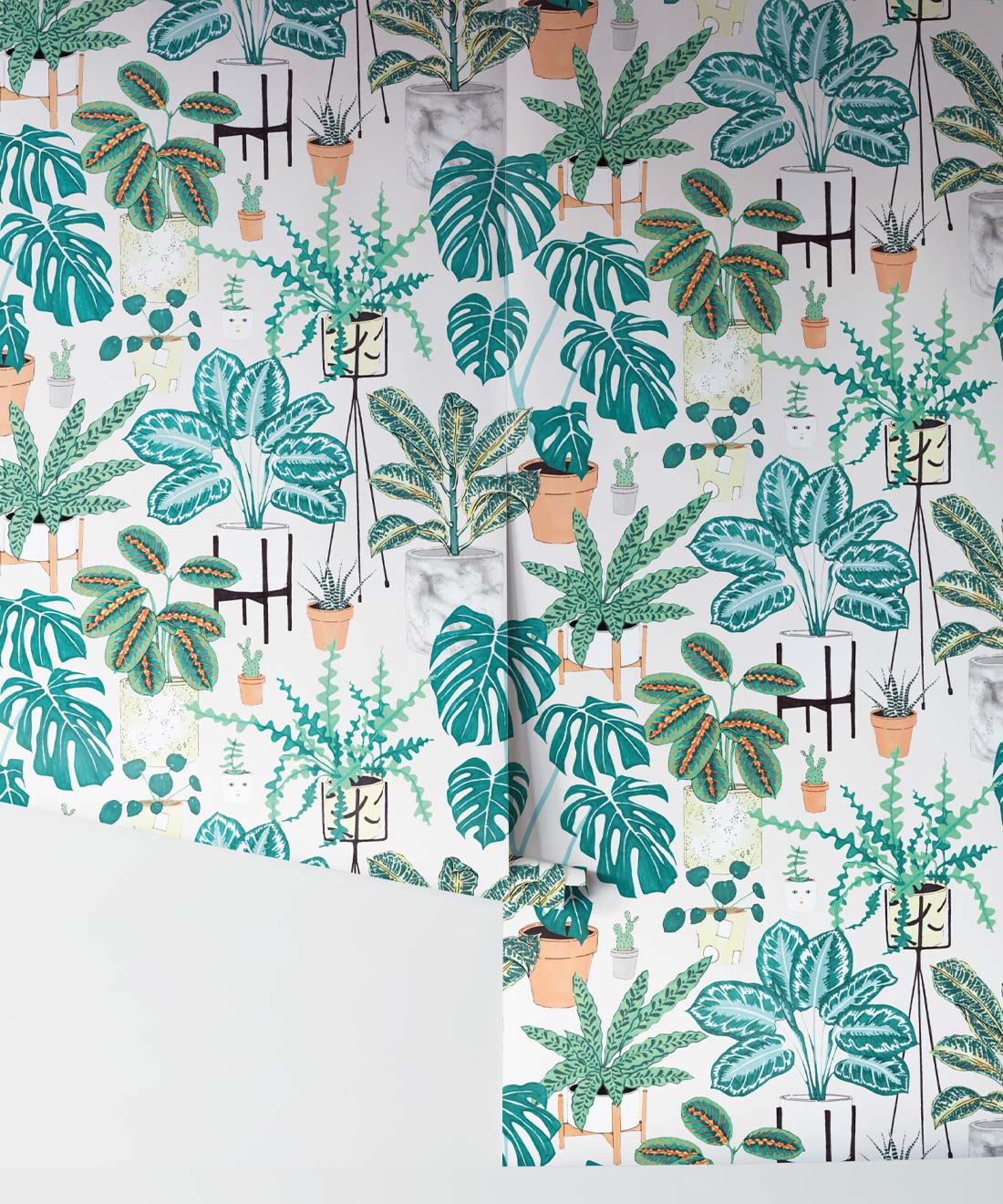House Plants (Large) • Jacqueline Colley • Wallpaper Republic • Aqua • Rolls