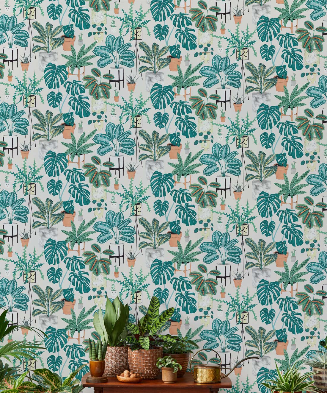 House Plants (Large) • Jacqueline Colley • Wallpaper Republic • Aqua • Insitu