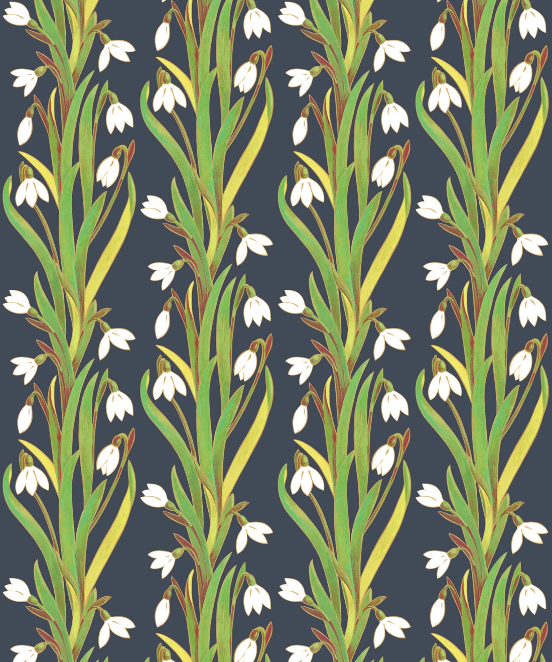 Snow Drop Pacific Spirit