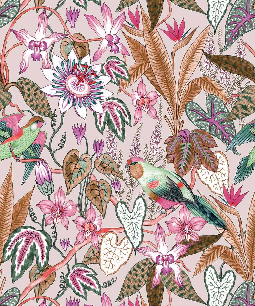 Parrot Jungle Wallpaper