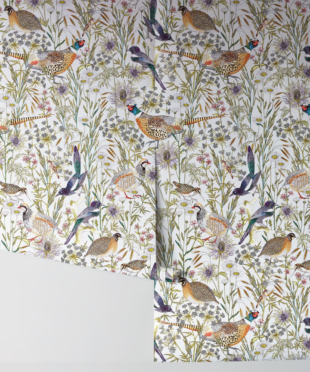 Woodland Birds • Jac • Roll