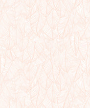 Load image into Gallery viewer, Bonfire Ginger