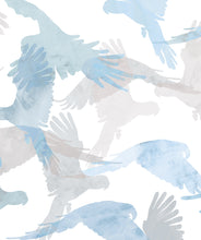 Load image into Gallery viewer, Lorikeets in Buccaneers a modern bird wallpaper