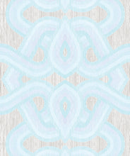 Load image into Gallery viewer, Skater Wallpaper