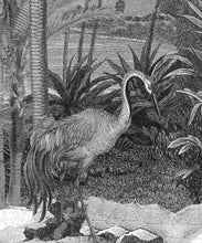 Load image into Gallery viewer, South Asian Subcontinent Wallpaper Mural •Bethany Linz • Palm Tree Mural • Black &amp; White • Scale