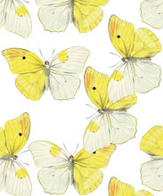 Load image into Gallery viewer, Blended Butterfly Wallpaper • White &amp; Yellow Butterflies Wallpaper • Swatch