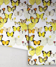 Load image into Gallery viewer, Papillon Medley Wallpaper • Butterfly Wallpaper • Rolls