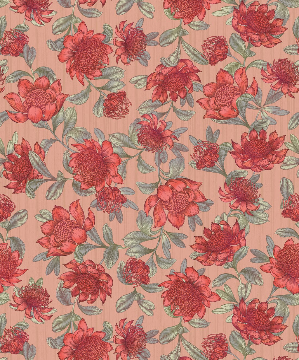 Waratah Wallpaper