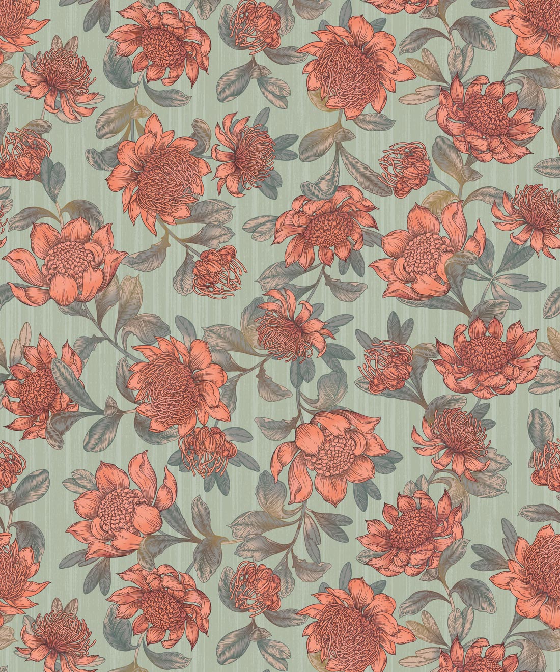 Waratah Wallpaper