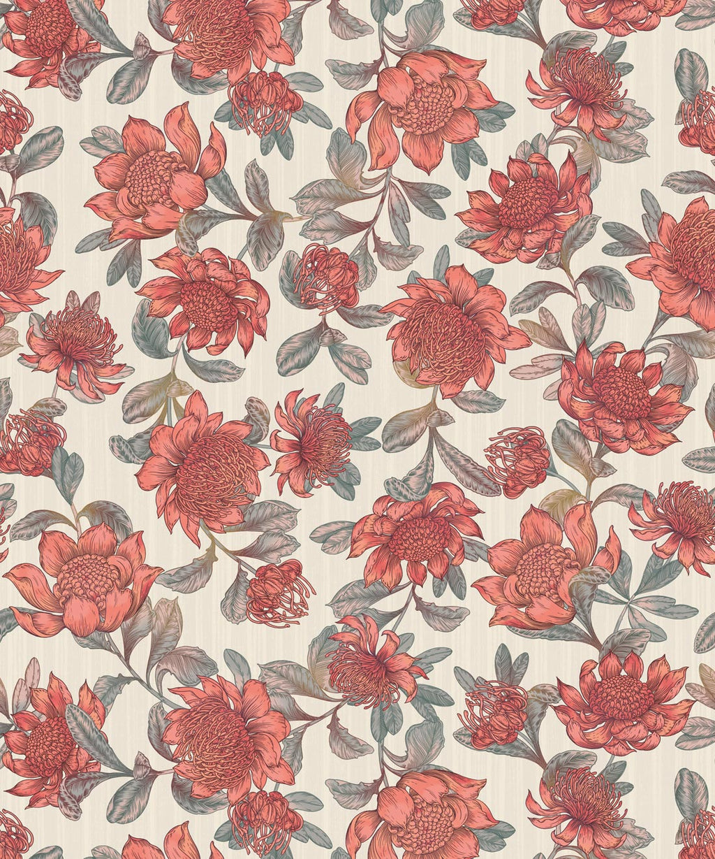 Waratah Wallpaper