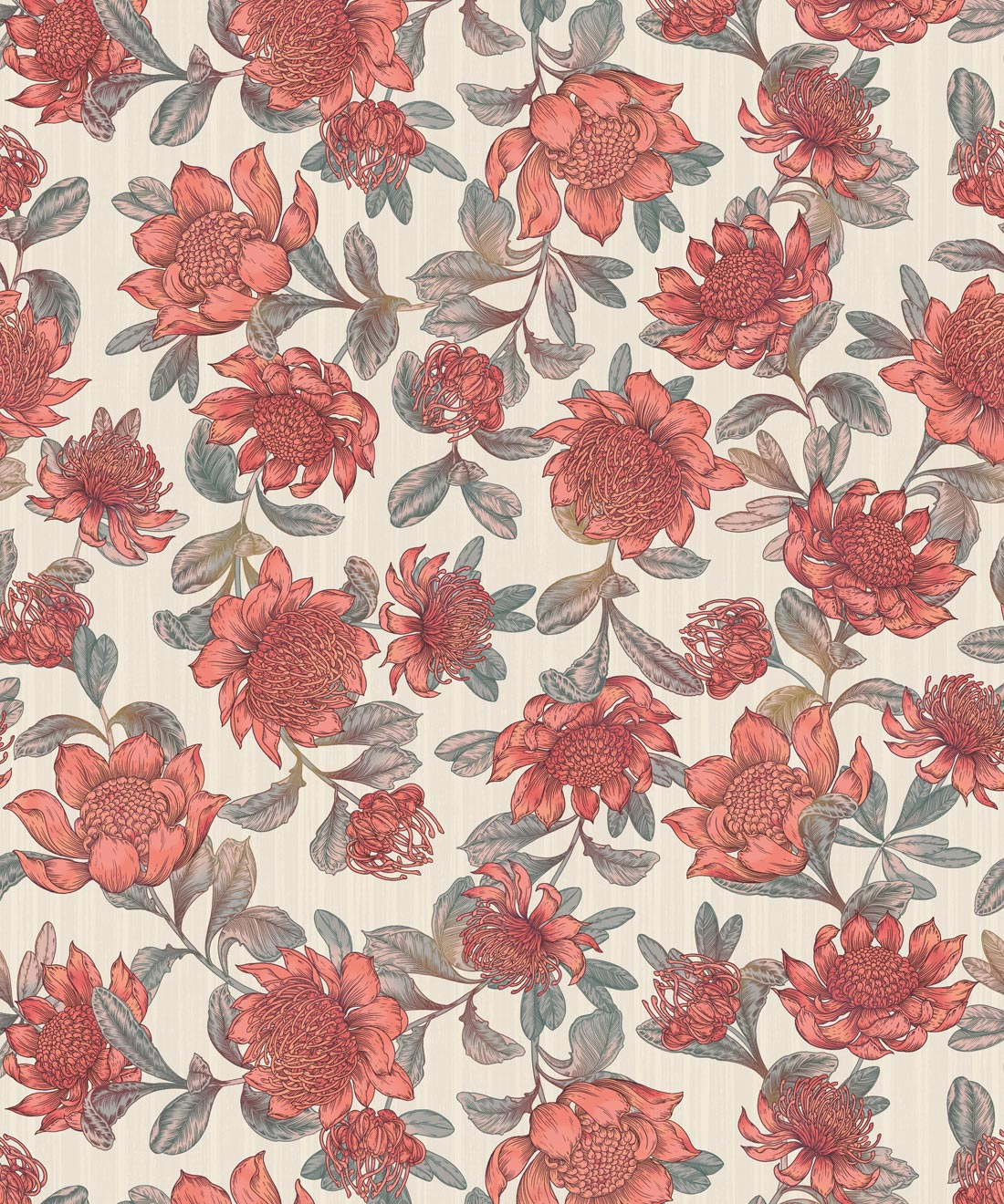 Waratah Wallpaper