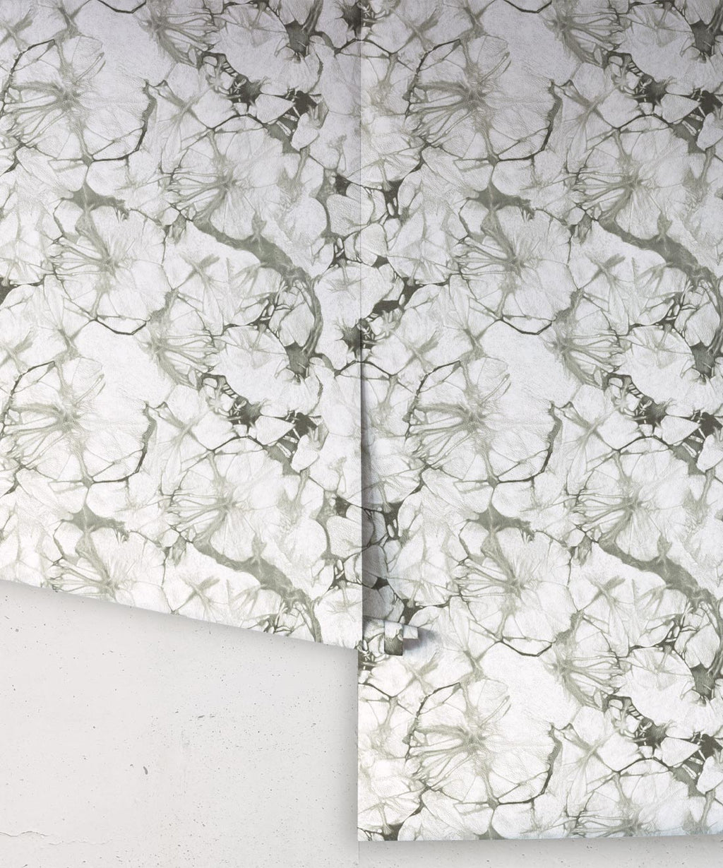Silver Blue Poppy Wallpaper • Shibori