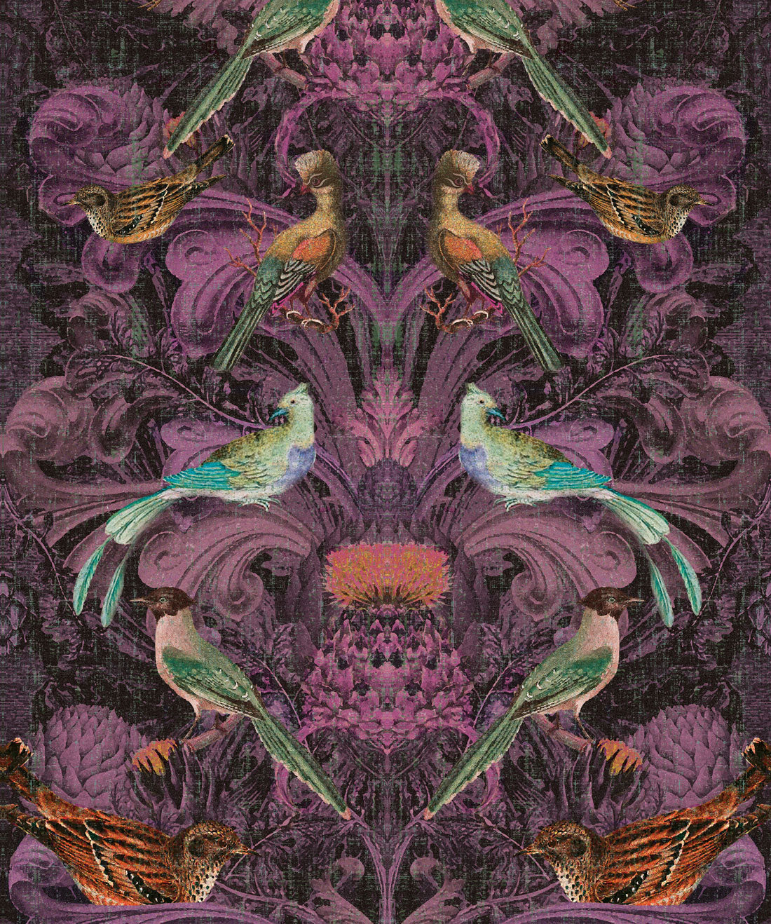 Birdlife Burgundy