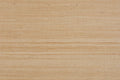 Colomba wallpaper in Coquillage