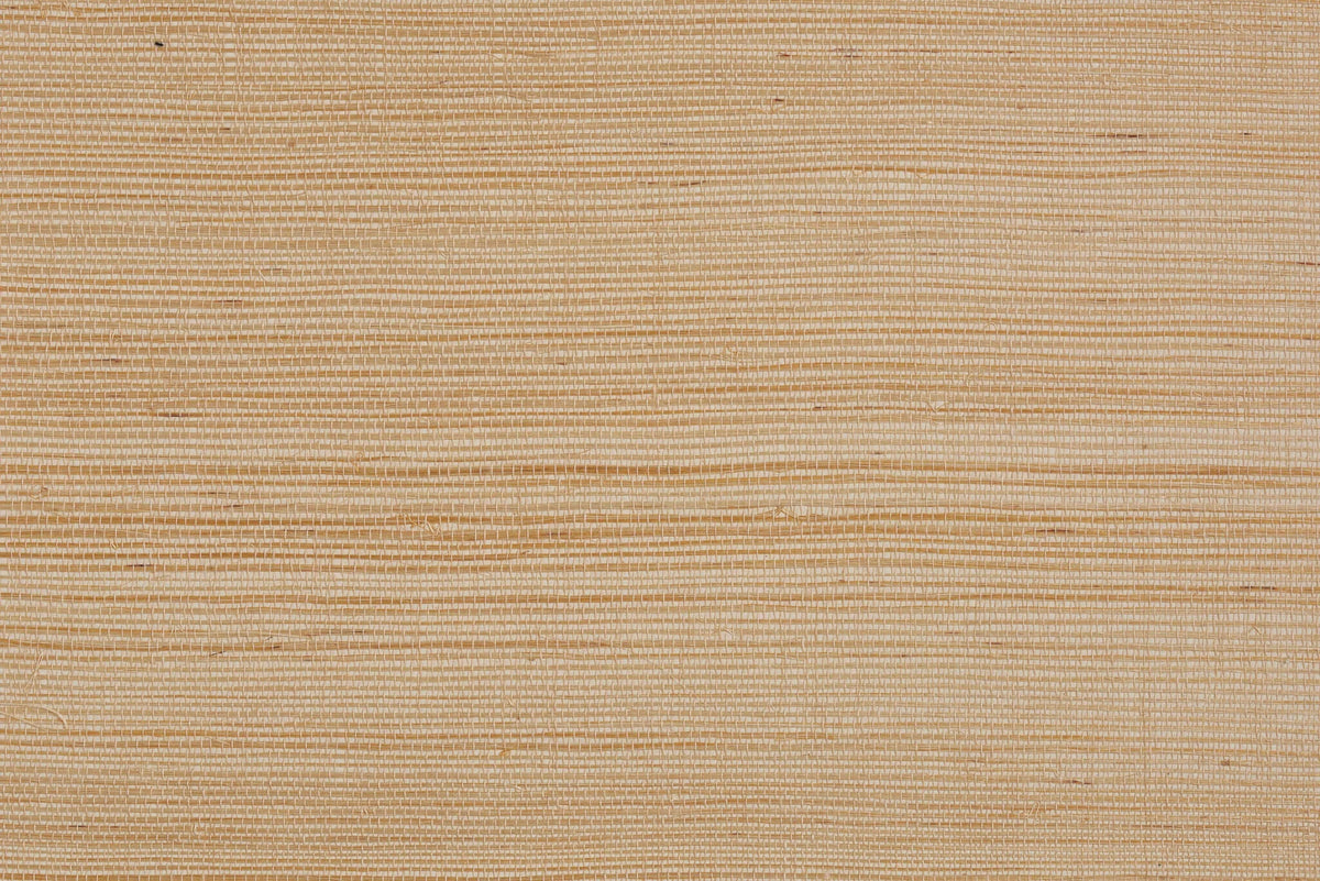 Colomba wallpaper in Coquillage