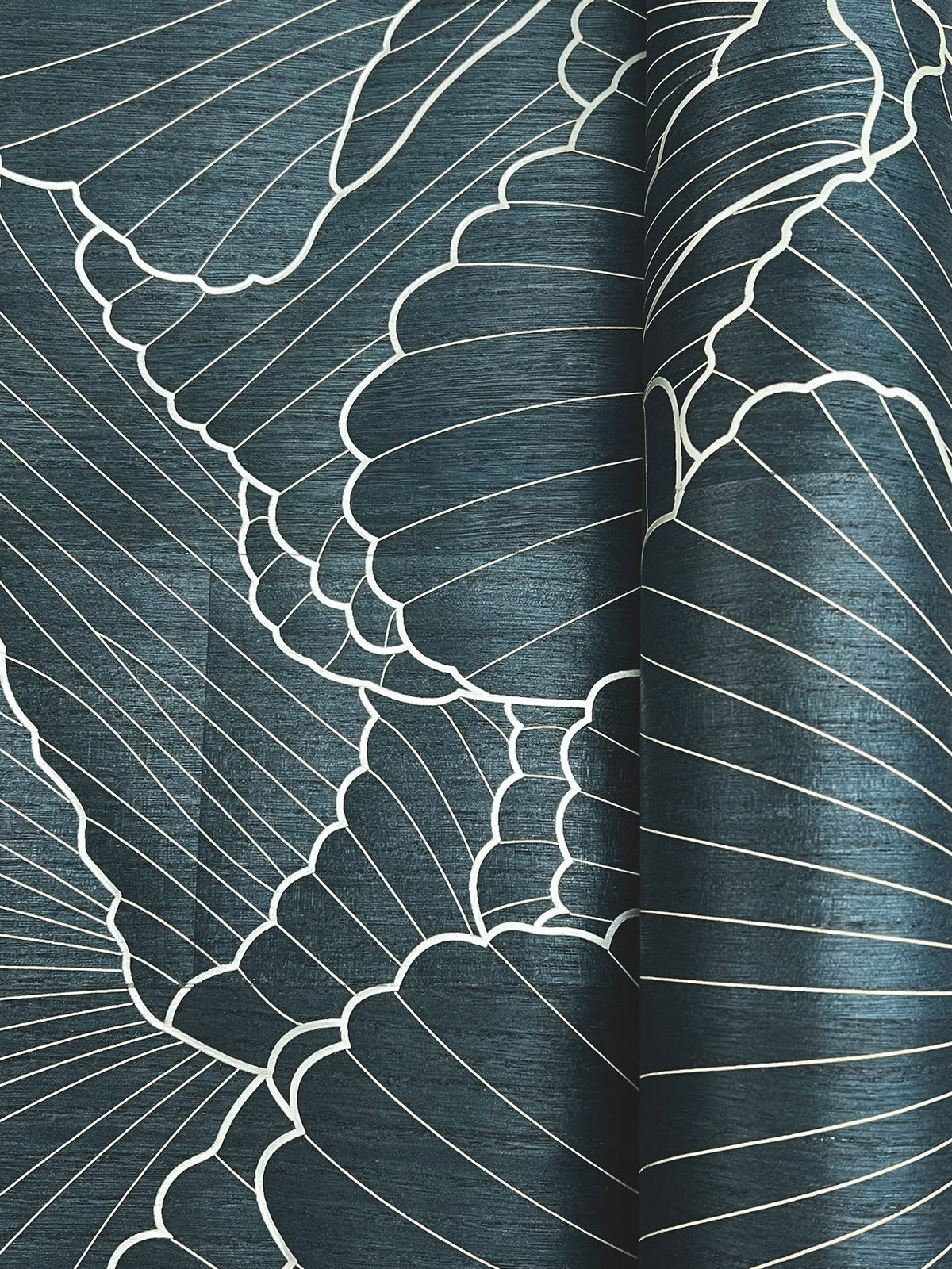 Shell Wood Veneer