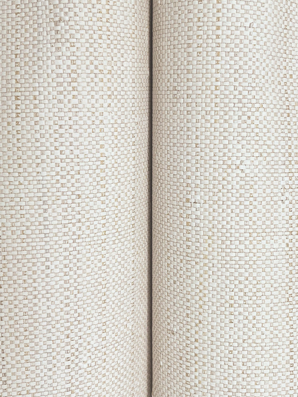 Painted Raffia